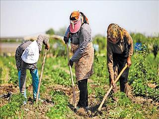 طرح ملی پوشش بیمه اجتماعی یک میلیون و چهارصد هزار روستایی و عشایر