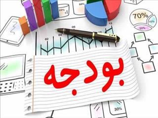 جایگزین فوری پول تورمی