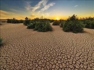راهکار اقتصادی نجات اقلیم