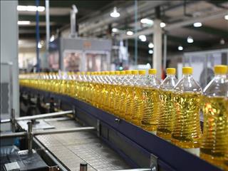 گزارشی از قیمت، واردات و دپوی روغن