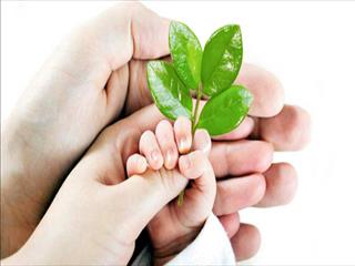 اعطای بیش از ۴۱۴ میلیارد ریال وام قرض‌الحسنه فرزند‌آوری از سوی بانک سینا
