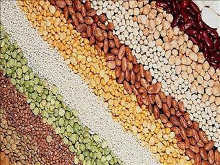 جهان گرسنه سیر می‌شود؟
