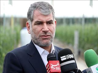 صادرات مرکبات مازاد ایران به چین/ ۱ میلیون تن پرتقال ذخیره‌سازی شد