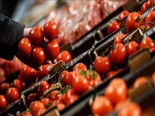 ۲۶هزار تن محصولات گلخانه‌‎ای طی یک سال به روسیه صادر شد
