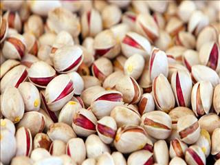 پیش بینی افزایش ۲ برابری تولید پسته ایران در سال جاری