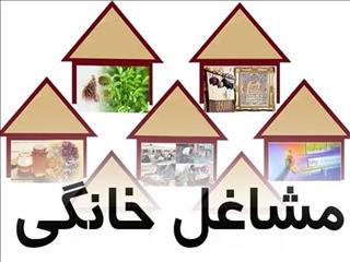 ایجاد بیش از ۱۶۰ هزار کسب‌وکار خانگی در دولت سیزدهم