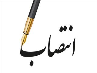 سرپرست مدیریت صنایع خودرو و ریلی ایدرو منصوب شد