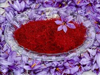 افزایش ۵۲ درصدی صادرات زعفران در ۵ ماه