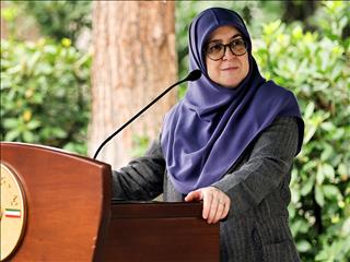 دولت برنامه‌های مشخصی برای رفع ناترازی‌های انرژی دارد