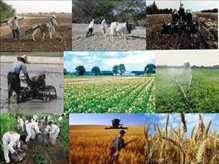 ۳۰۰۰ فروشگاه تعاون روستایی تا پایان دولت راه‌اندازی می‌شود