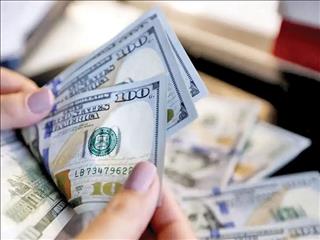 قیمت روز ارزهای مبادله‌ای/ دلار ثابت ماند