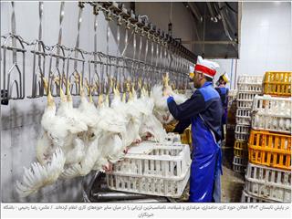 متهمان فرار سرمایه
