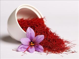 گردش مالی تجارت زعفران ۸ میلیارد دلار است؛ سهم ایران ۳۰۰ میلیون دلار