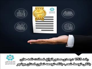 رشد ۱۵۳ درصدی صدور انواع ضمانت نامه های بانکی توسط شعب بانک توسعه تعاون استان بوشهر