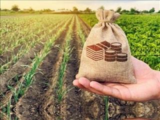 صدور ۱۴ دستور اجرایی برای حمایت از سرمایه‌گذاری در بخش کشاورزی