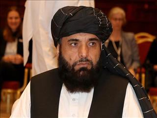 نگرانی طالبان بابت محیط زیست