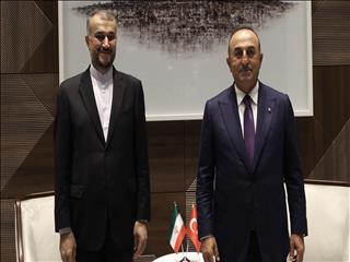 چاووش اوغلو به ایران سفر کرد