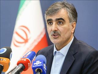 فرزین: مقررات جدید تاسیس صرافی‌ها به زودی اعلام می‌شود