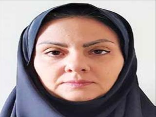 بروز رشد فراگیر در هیاهوی تحریم‌های اقتصادی