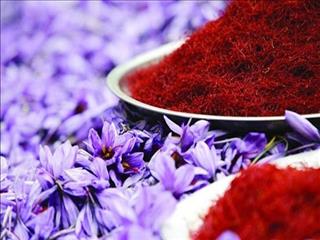 هر ماه ۱۰ تن زعفران به خارج قاچاق می‌شود/صادرات ۲۰۰ تن زعفران به ۶۷ کشور