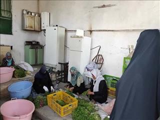 پرداخت ۵ هزار میلیارد تومان تسهیلات مشاغل خانگی به زودی