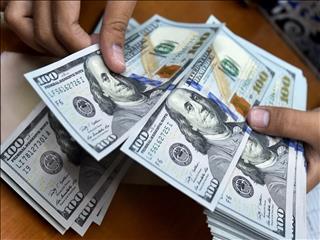 بازار ارز تجاری ترمز قیمت دلار را کشید