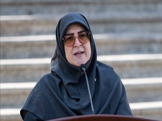 مهاجرانی: دولت تصمیمی برای حذف ارز ترجیحی دارو و کالاهای اساسی ندارد