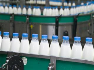گرانی لبنیات؛ یک بام و دوهوای تولیدکنندگان لبنی در کشور