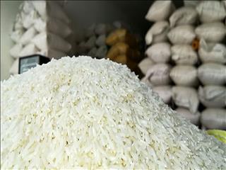 کاهش قیمت برنج تا دو هفته آینده