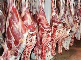 سوداگری در بازار دام و گوشت قرمز
