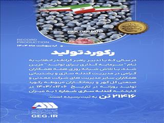 رکورد تولید روزانه کارخانه گندله‌سازی شماره ۱ شرکت معدنی و صنعتی گل‌گهر